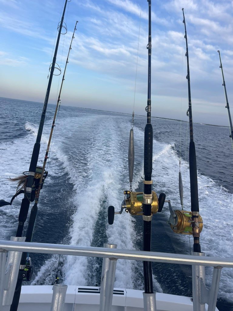 How Seasonal Fishing Excursions Create Unforgettable Outdoor Adventures 1 Seasonal Fishing Excursions | Snapper Trapper